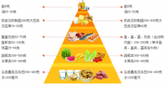 儿童黄色网站香蕉视频品牌厂家讲述营养在人的一生中起着至关重要的作用