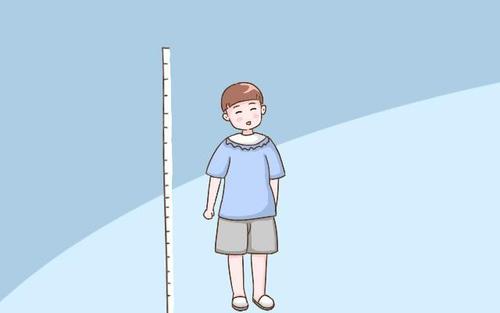 超声波香蕉视频APP污污生活水平提高了孩子长高的关键期是哪几个